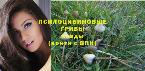 гашик Кодинск