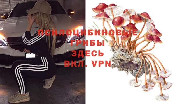 гашик Кодинск