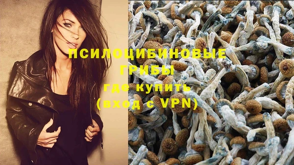 гидропоника Карталы