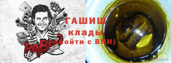 дмт Касимов