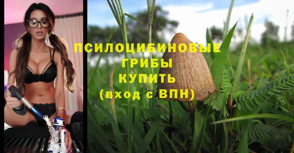 гидропоника Карталы
