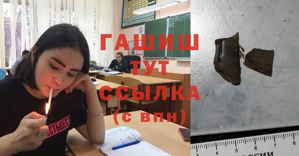 гашик Кодинск