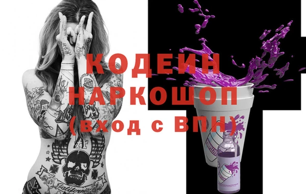 гашик Кодинск