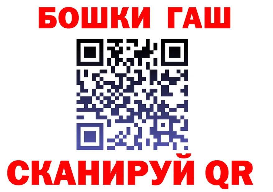 ГАШ Premium вход shop OMG Елизаветинская