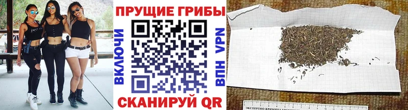 купить   Елизаветинская  Псилоцибиновые грибы прущие грибы 